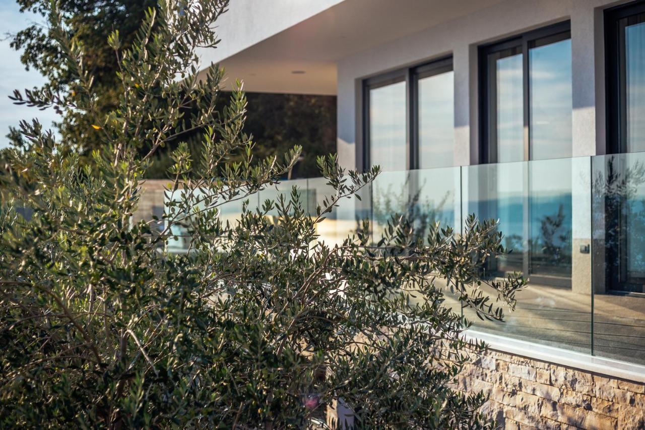 Villa Dispet With Heated Pool, Jacuzzi, Sauna And Cinema Celina Bagian luar foto